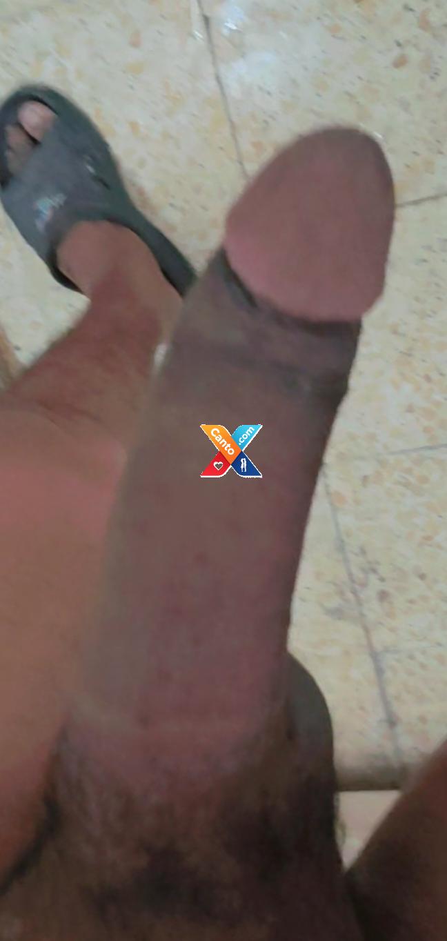 03199134143